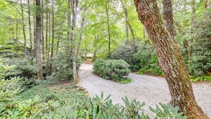 A forest path surrounded by dense greenery and trees. - Highlands Vacation Rental - Walk to Mirror Lake! (Highlands)