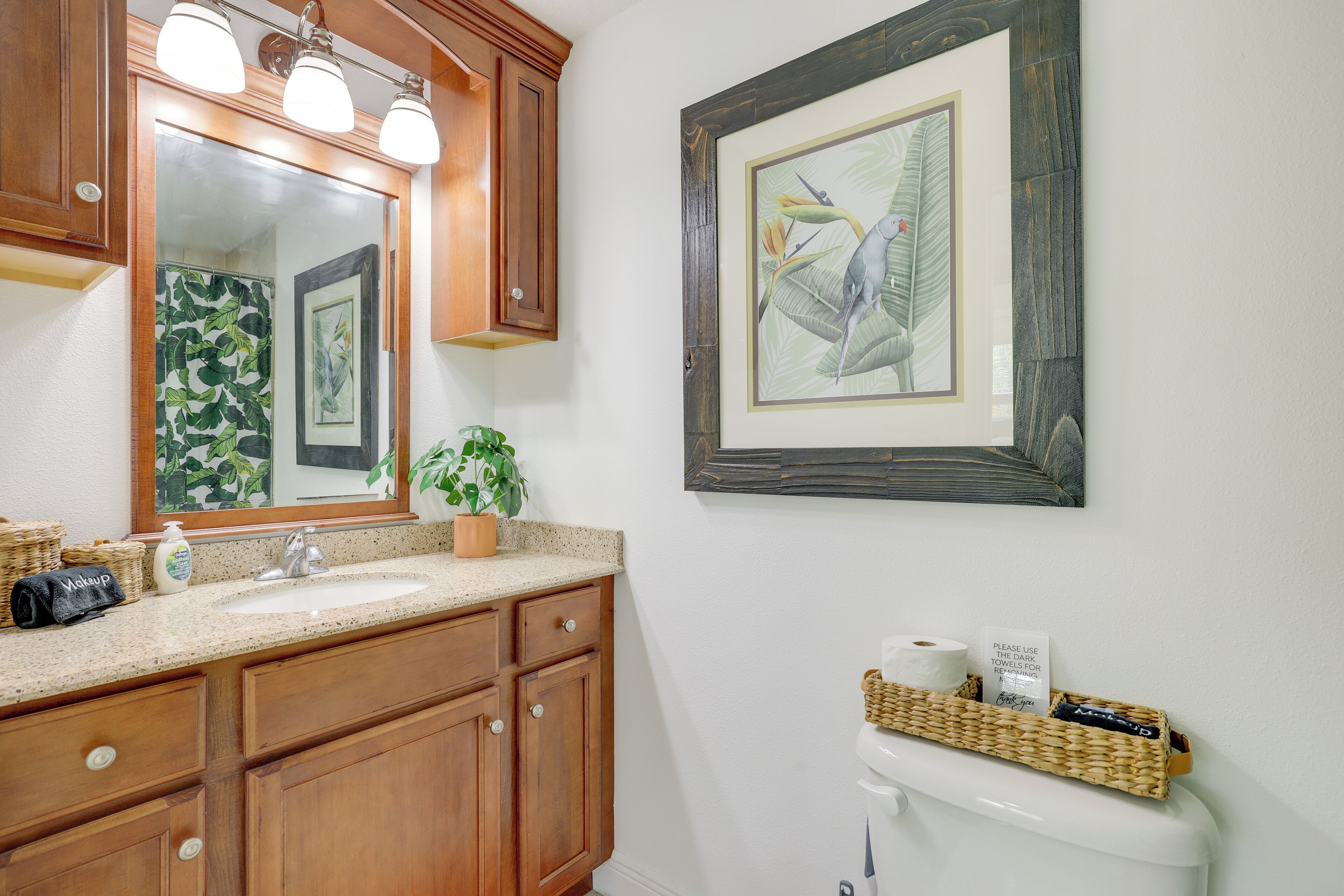 A bathroom with wooden cabinets, a sink, a mirror, a framed picture, a potted plant, and a toilet paper holder.