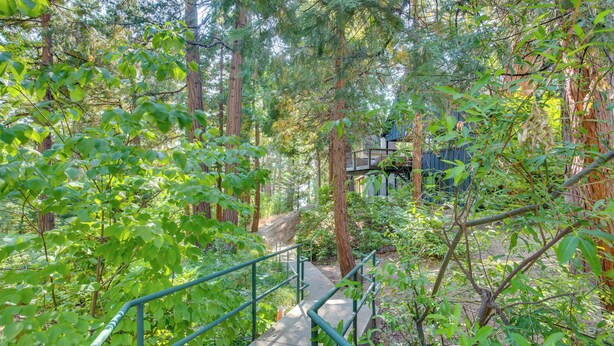 A wooden deck with a metal railing, surrounded by dense green foliage and tall trees. - Steps to Lake Arrowhead: Cabin w/ Full Lake Access (Lake Arrowhead)