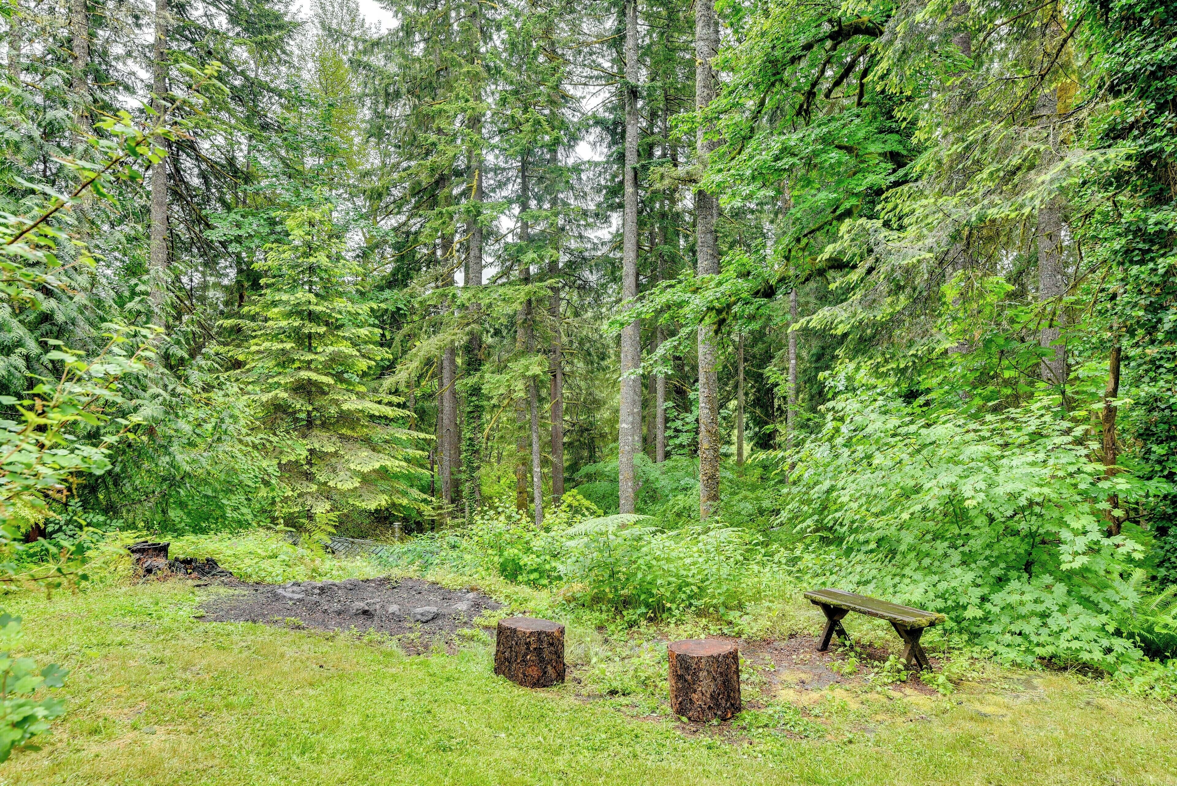 A forested area with a bench and tree stumps.