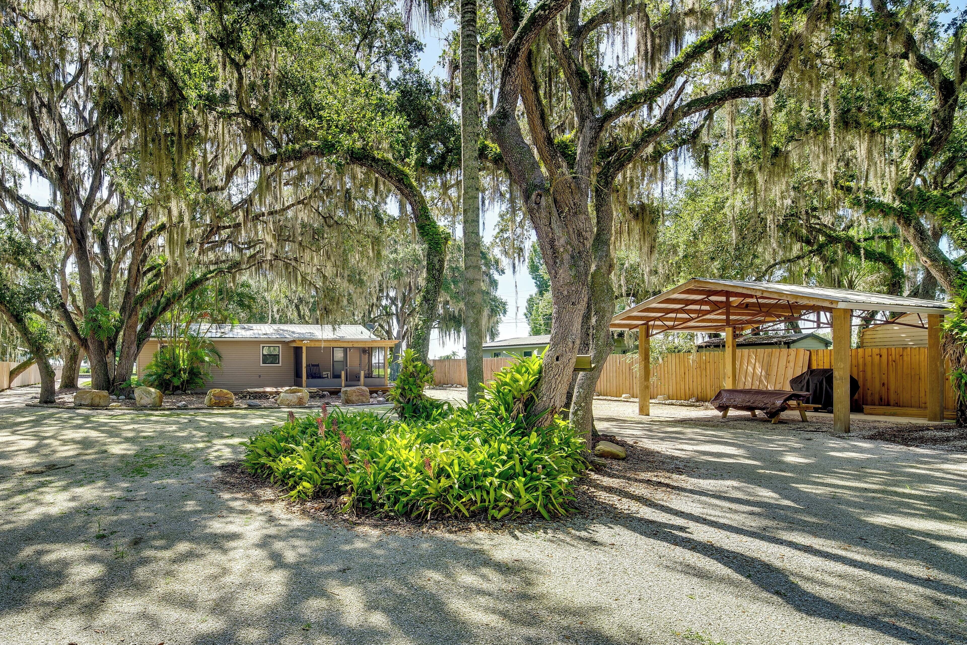 A covered outdoor area with a gravel path, surrounded by large trees with Spanish moss, and a wooden structure with a bench.