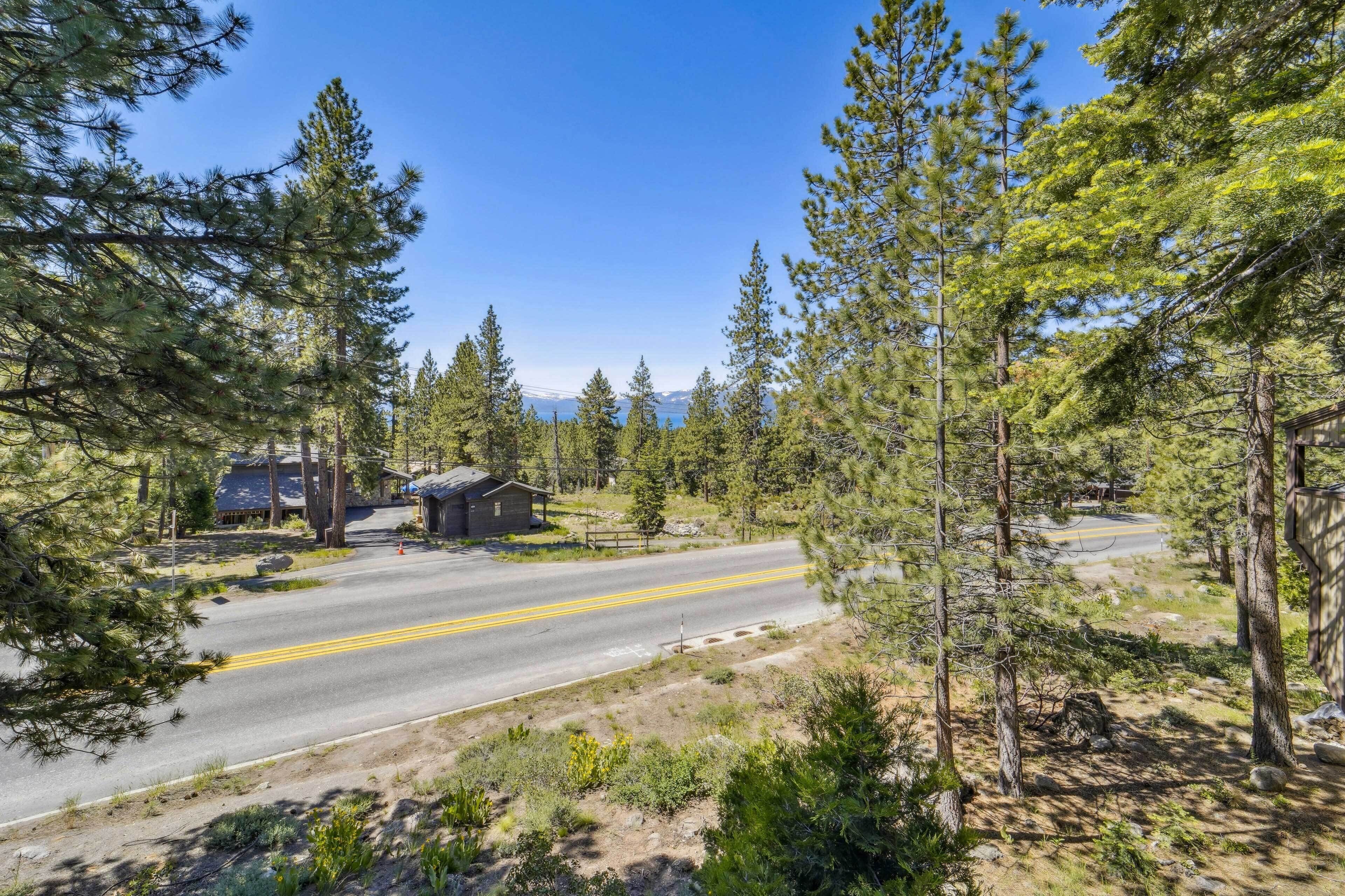 A road leading to a cabin surrounded by dense forest.