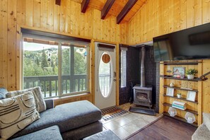 A cozy cabin interior with a sofa, a fireplace, a television, and a view of a forested landscape through large windows.