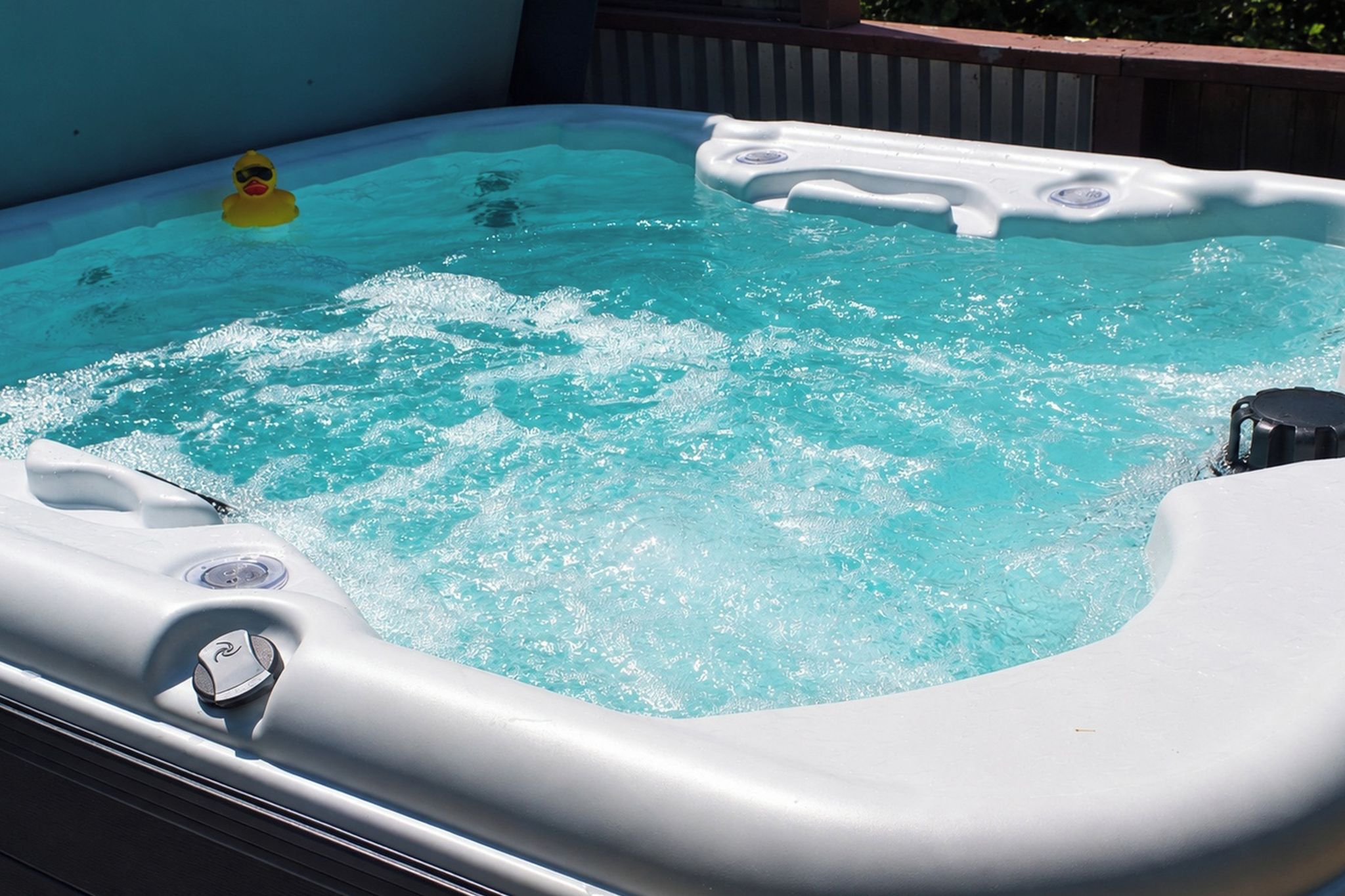 A hot tub with a rubber duck and a black object floating in the water.