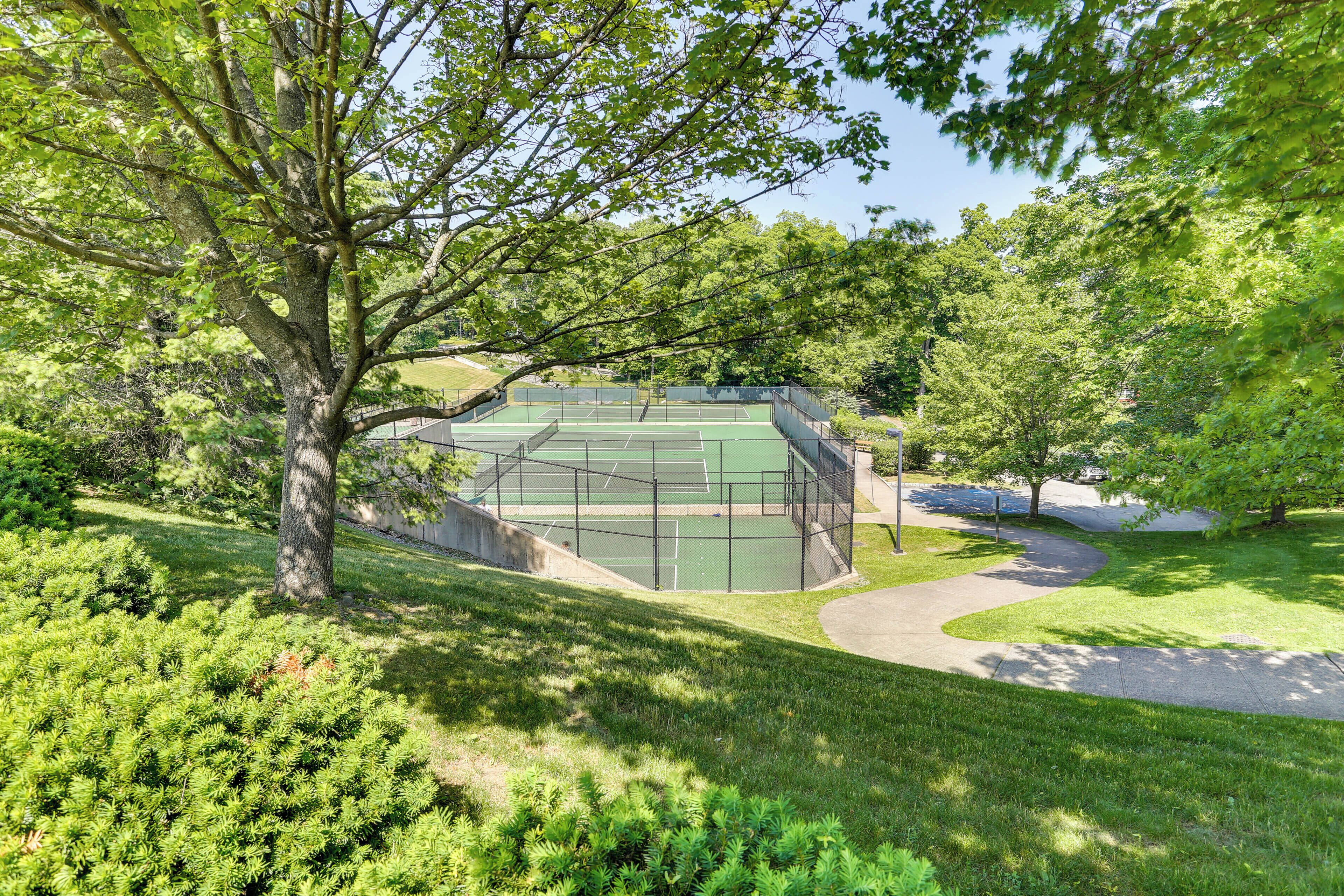 Un court de tennis entouré d’une végétation luxuriante et d’arbres.