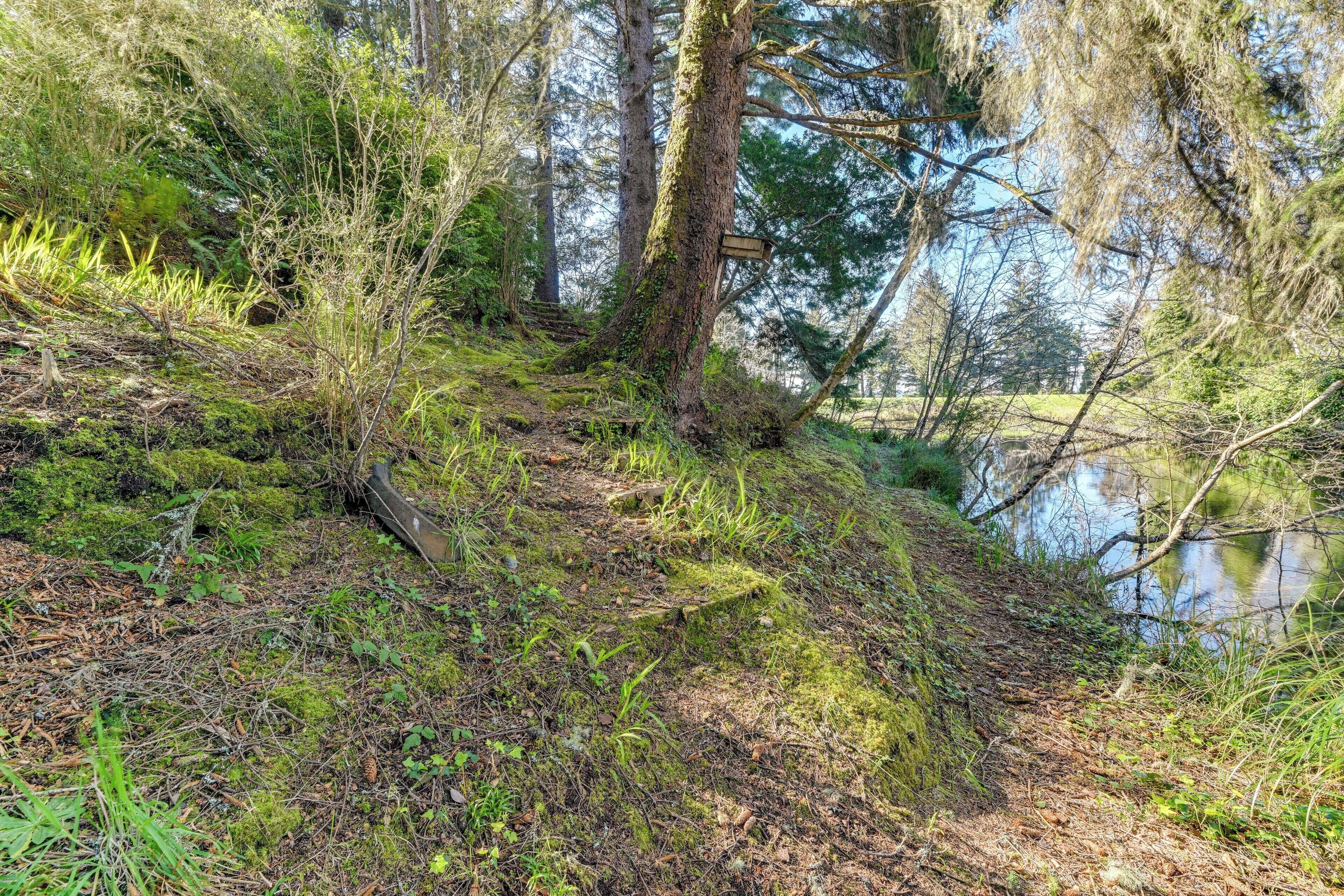 A natural landscape with a forested area, a small body of water, and a wooden sign.