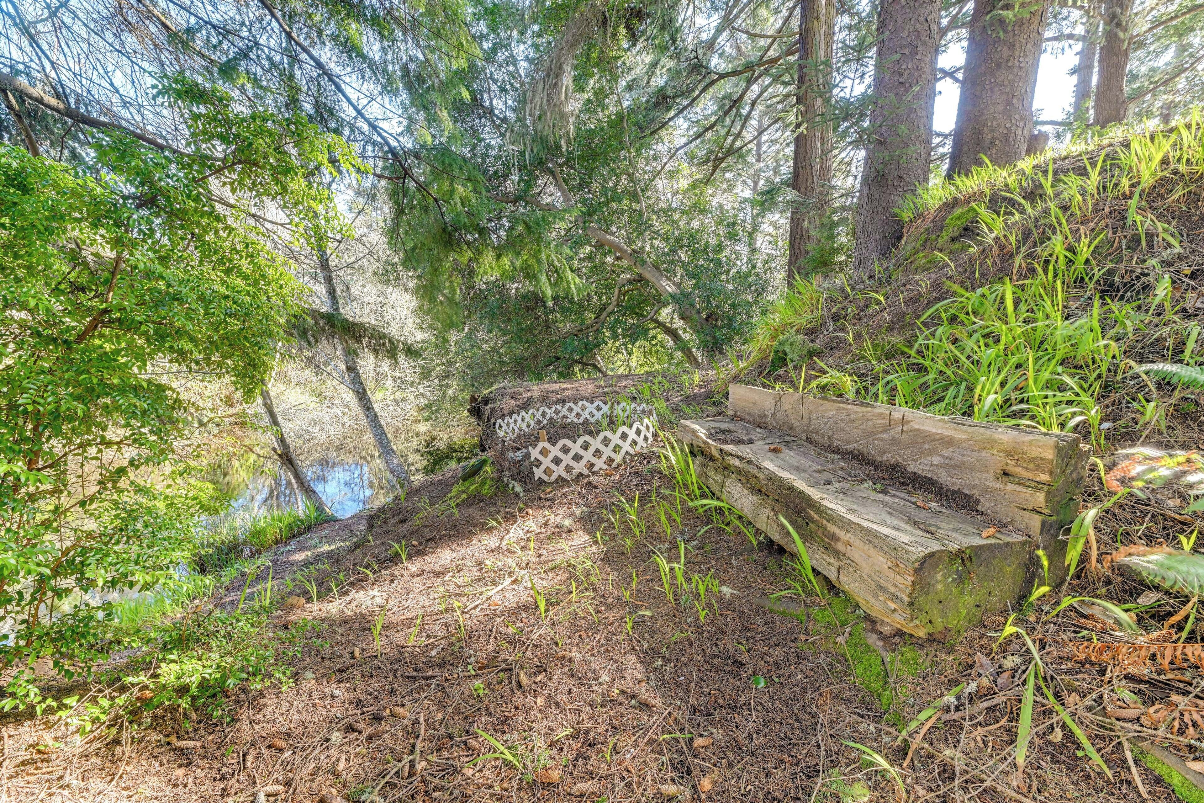 Eine natürliche Umgebung im Freien mit einer Holzbank, einem kleinen Teich und üppigem Grün.
