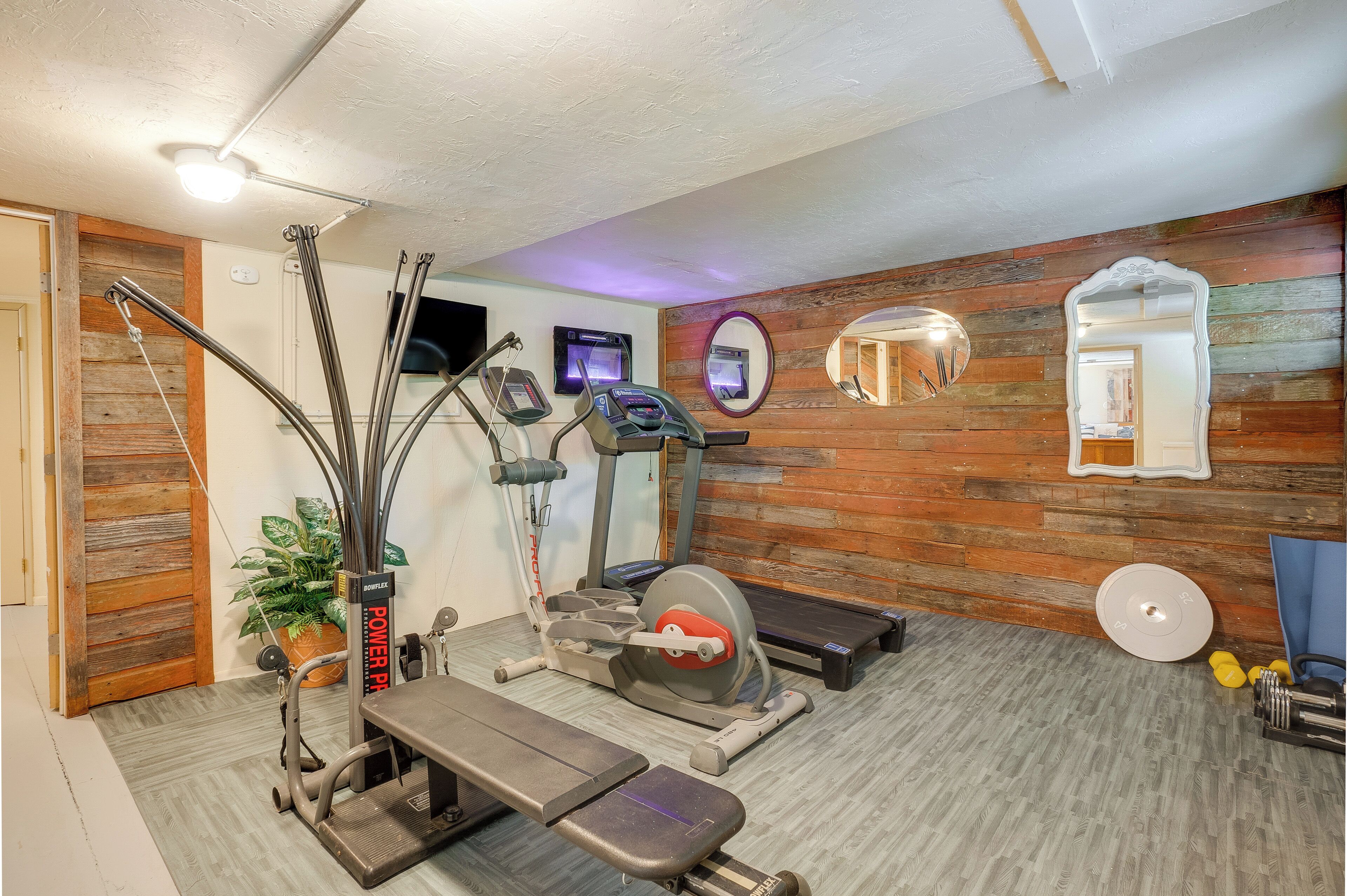 A home gym with exercise equipment, a mirror, and a plant.