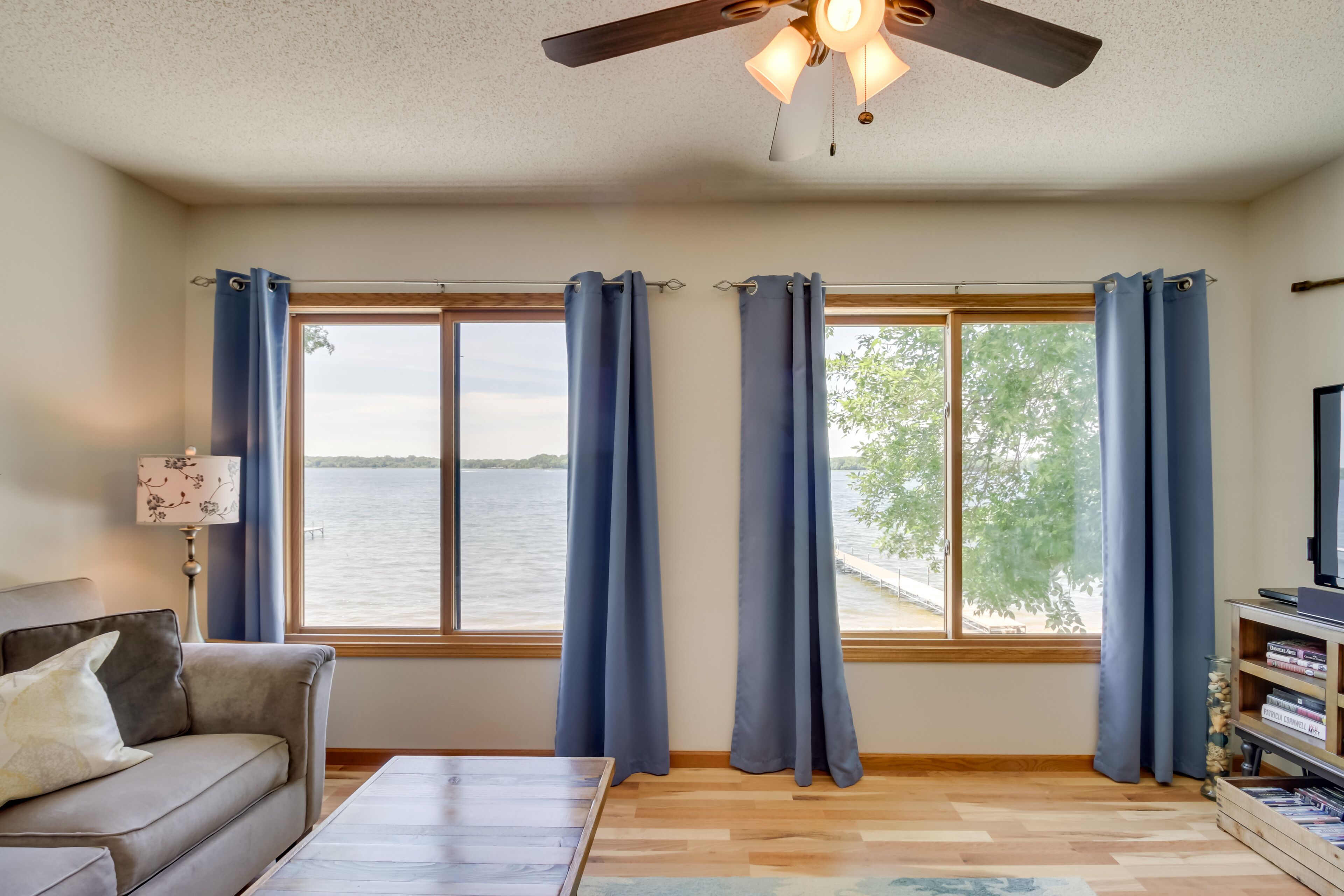 TV, perapian, pemutar DVD, dan buku