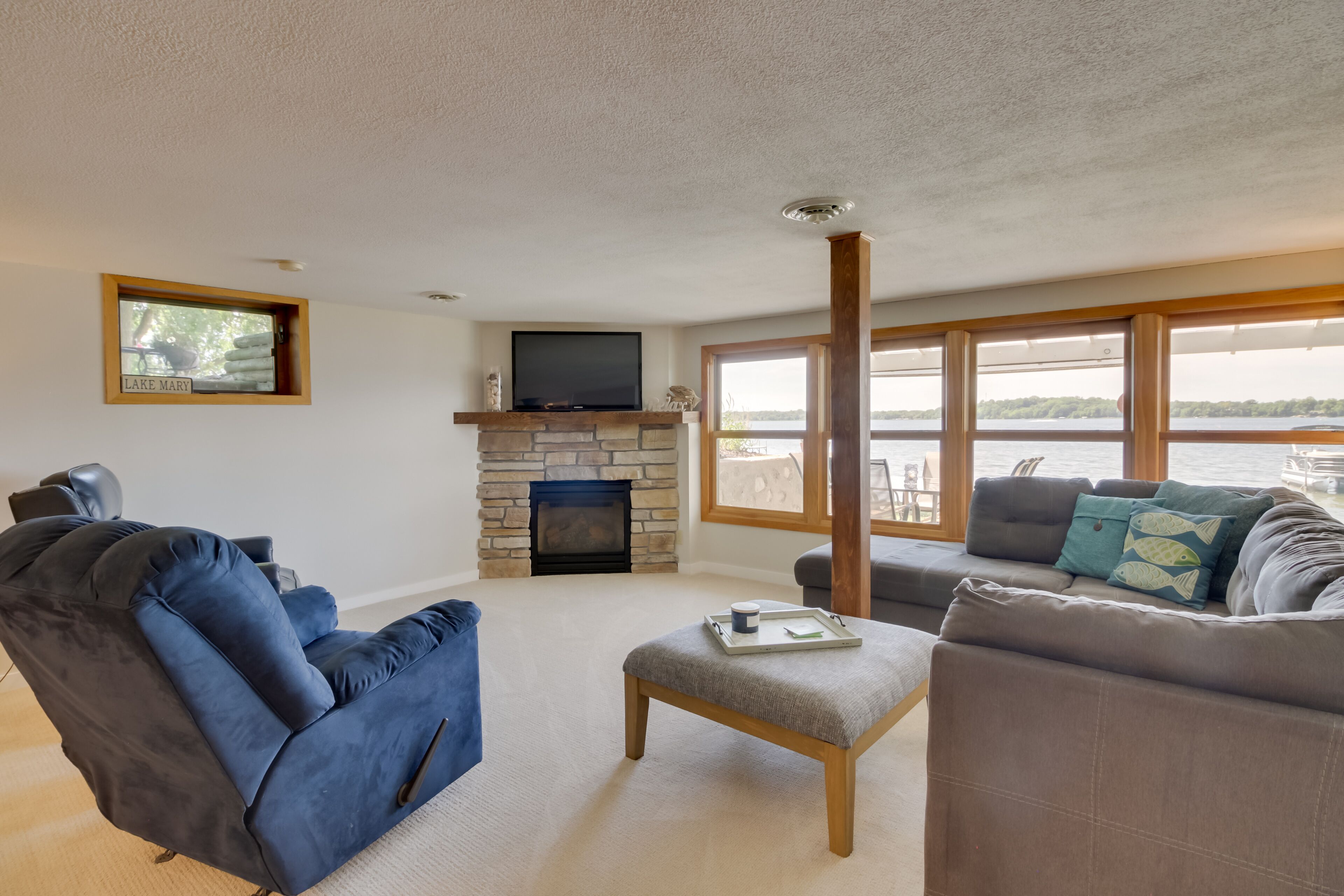 TV, perapian, pemutar DVD, dan buku