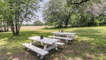 Apartment (0 Bedroom) | Interior