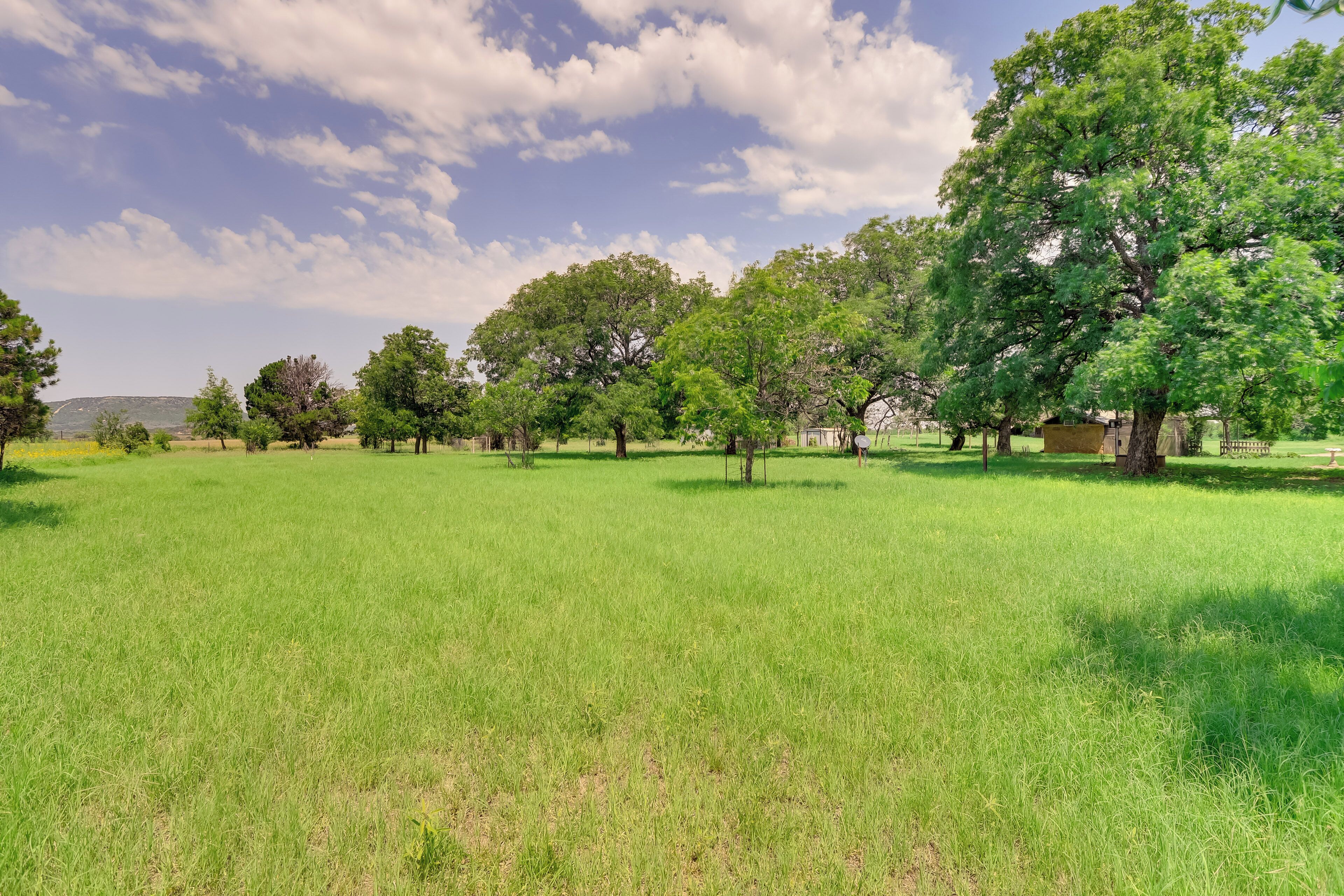 A grassy field with trees and a clear sky.
