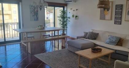 Beautiful apartment in Ansiao