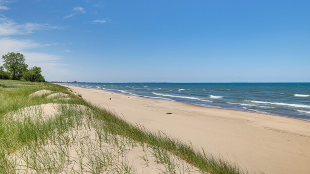A sandy beach with gentle waves and green grass in the foreground. - Steps to Lake Michigan Beach: Gary Vacation Rental (Gary)