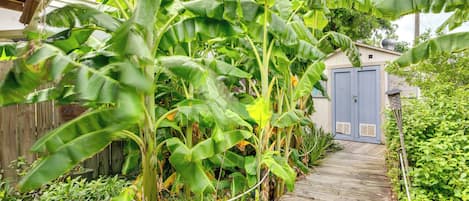 Cottage (2 Bedrooms) | Interior