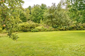 Apartment (0 Bedroom) | Interior - Pet-friendly Jamestown Cabin w/ Fire Pit and Deck! (Jamestown)