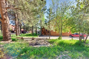 Apartment (0 Bedroom) | Interior - Angel Fire Studio w/ Fireplace, Walk to Resort! (Angel Fire)