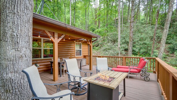 Property grounds - Remote Escape: Murphy Cozy Cabin in the Woods (Murphy)