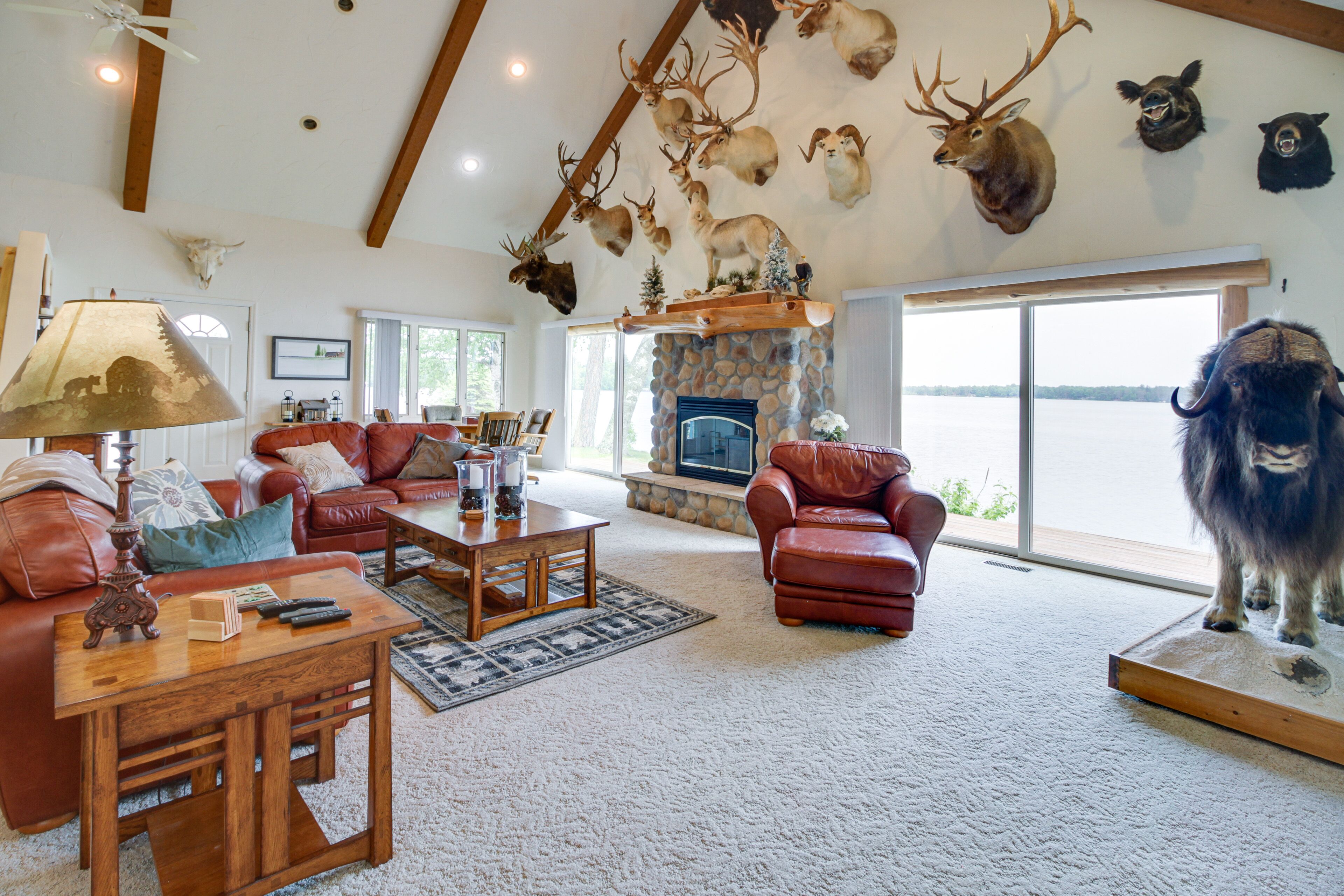 TV, lò sưởi, máy chơi game, sách 