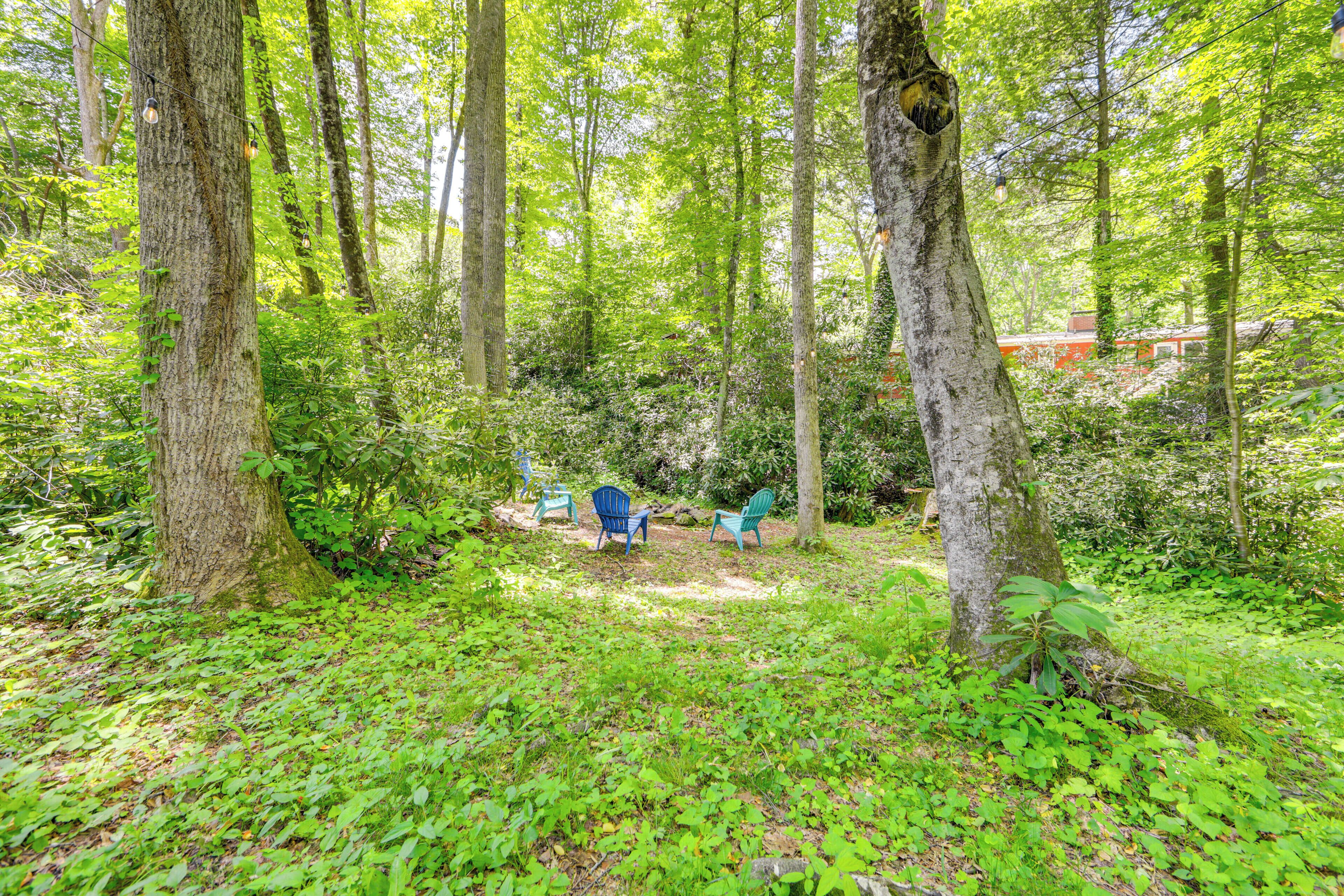 Ein bewaldetes Gebiet mit drei blauen Adirondack-Stühlen und einem roten Gebäude im Hintergrund.