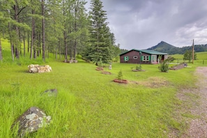 A rustic cabin with a green roof, surrounded by a grassy field and tall pine trees.