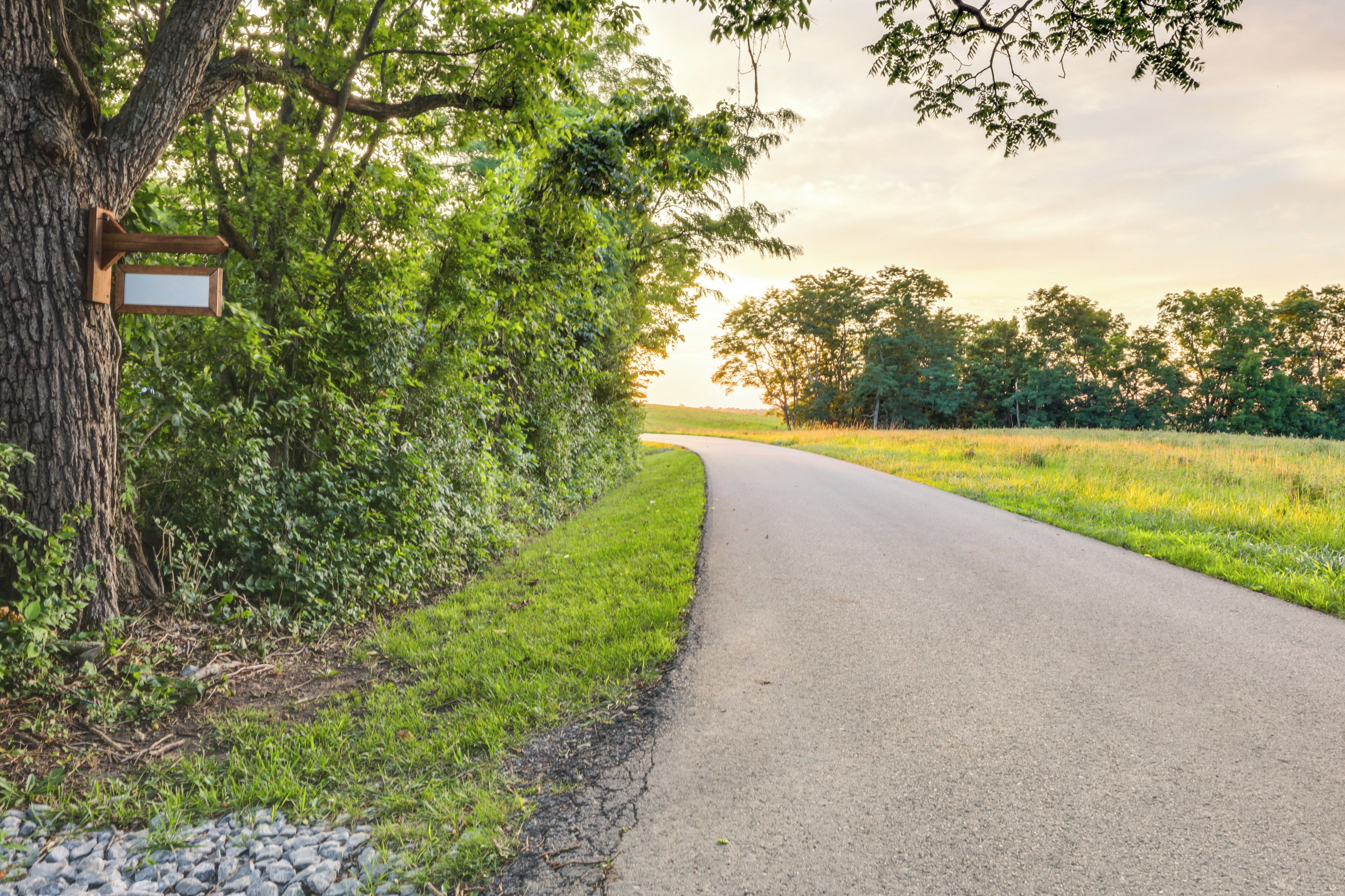 A rural road flanked by trees and grass, leading to a sunset.