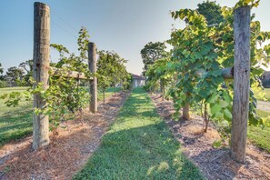 Talo (1 Bedroom) | Sisätilat