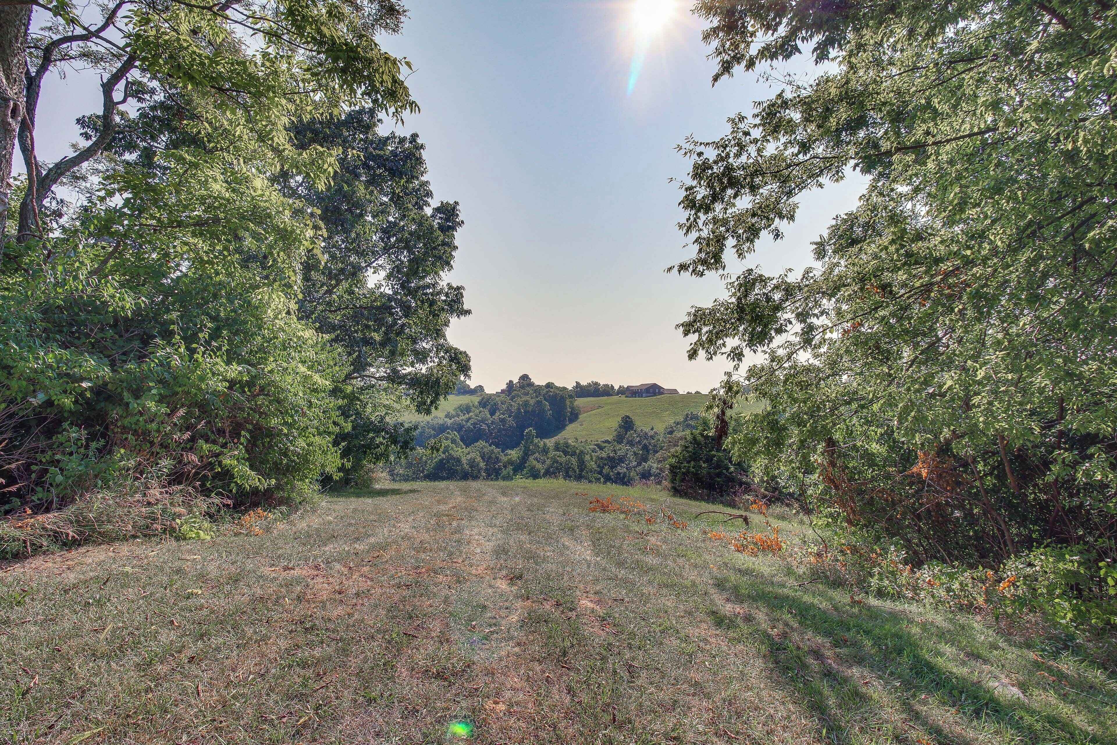 A grassy field with trees on either side and a clear sky.