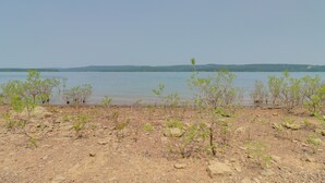 A rocky shoreline with sparse vegetation and a calm lake. - Arkansas Vacation Rental on Greers Ferry Lake! (Higden)