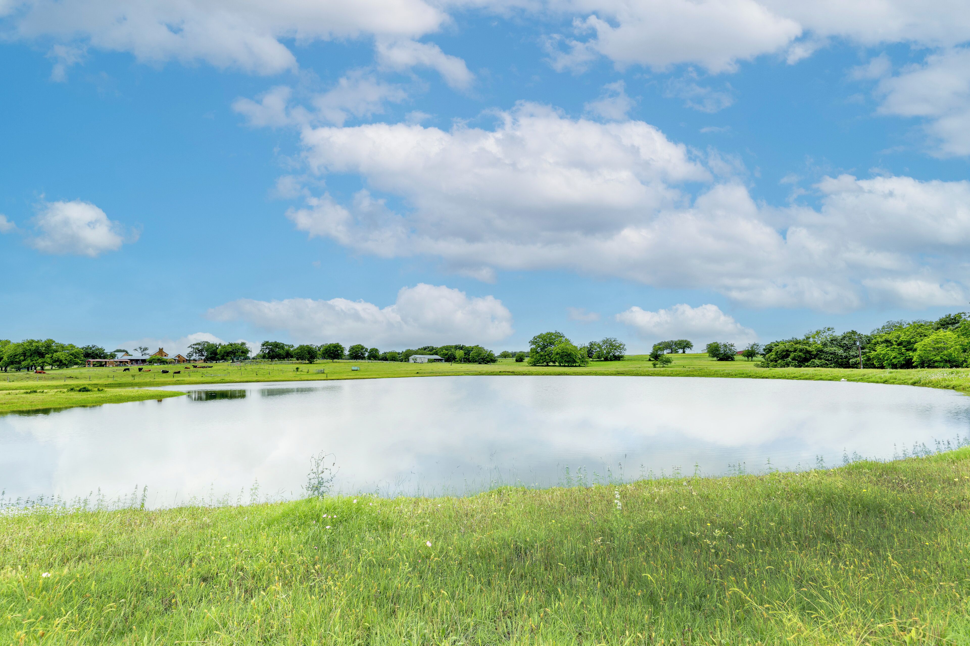 A serene landscape with a pond, grassy field, and trees under a partly cloudy sky.