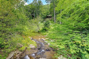 A forested area with a stream and a cabin in the background.