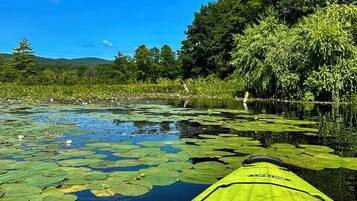 Un kayak en una masa de agua tranquila, rodeado de exuberante vegetación y árboles.