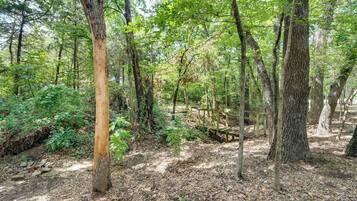 Nhà (3 Bedrooms) | Nội thất