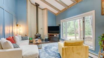 TV, fireplace, books