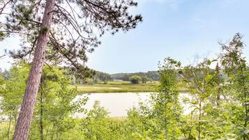 A natural landscape with a lake, dense greenery, and a clear sky.