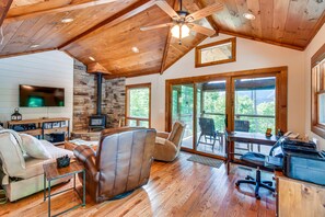 Televisión, chimenea, libros