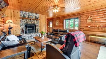 TV, fireplace, books