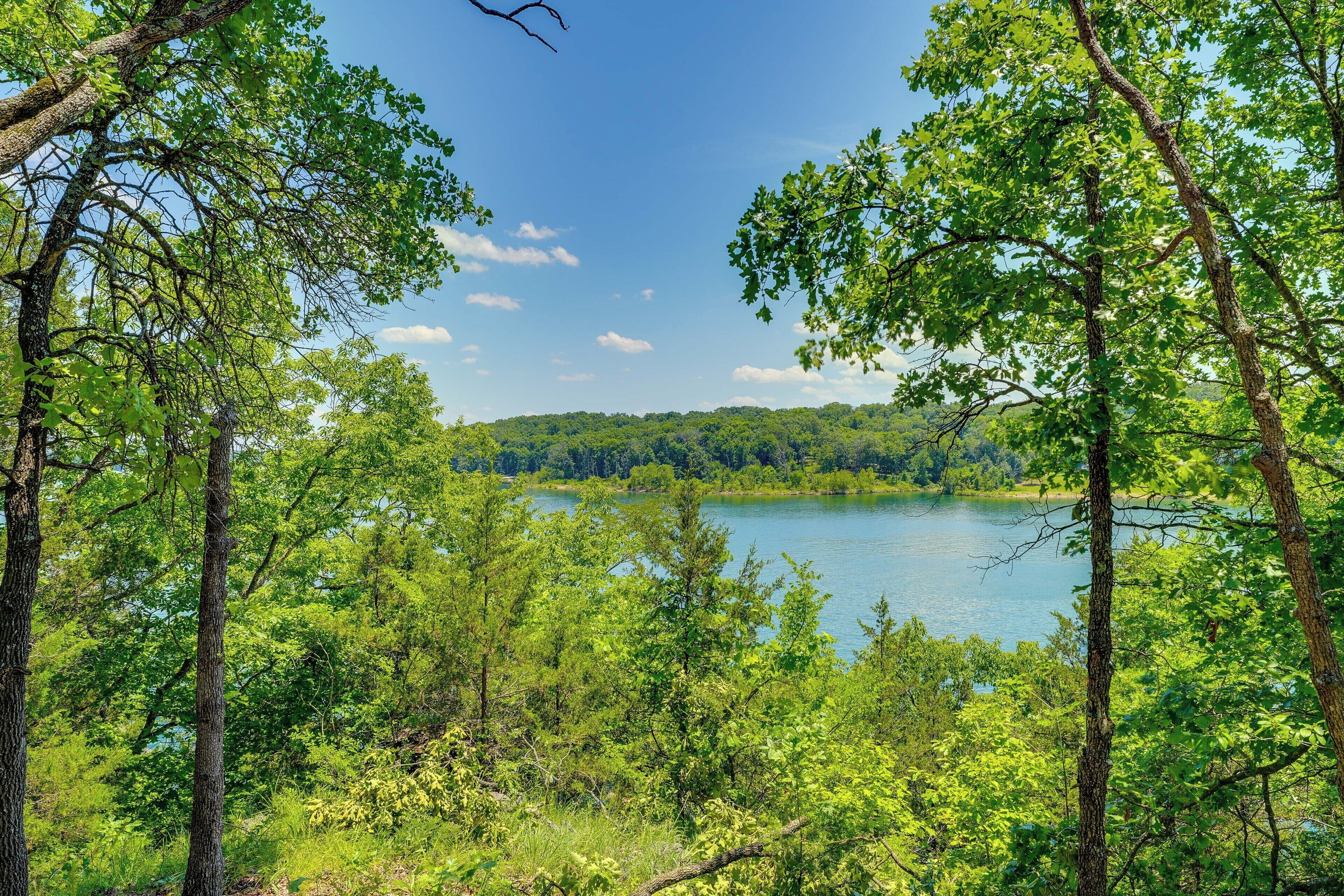 Un paisaje natural con un lago rodeado de árboles verdes y frondosos.