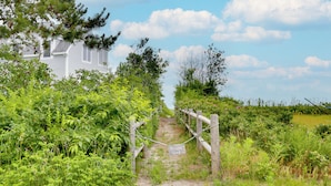 Un sendero privado que lleva a una casa rodeada de abundante vegetación.