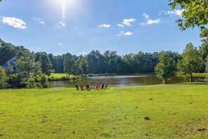 Casa de campo (1 Bedroom) | Interior
