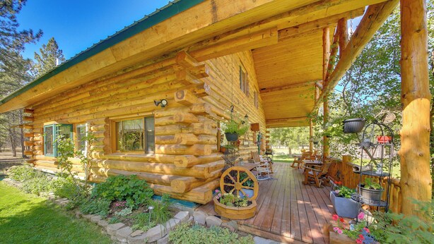 Eine Blockhütte mit Veranda, Steinstufen und Topfpflanzen.
