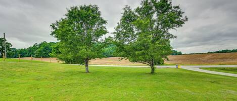 A grassy field with two trees and a dirt path.