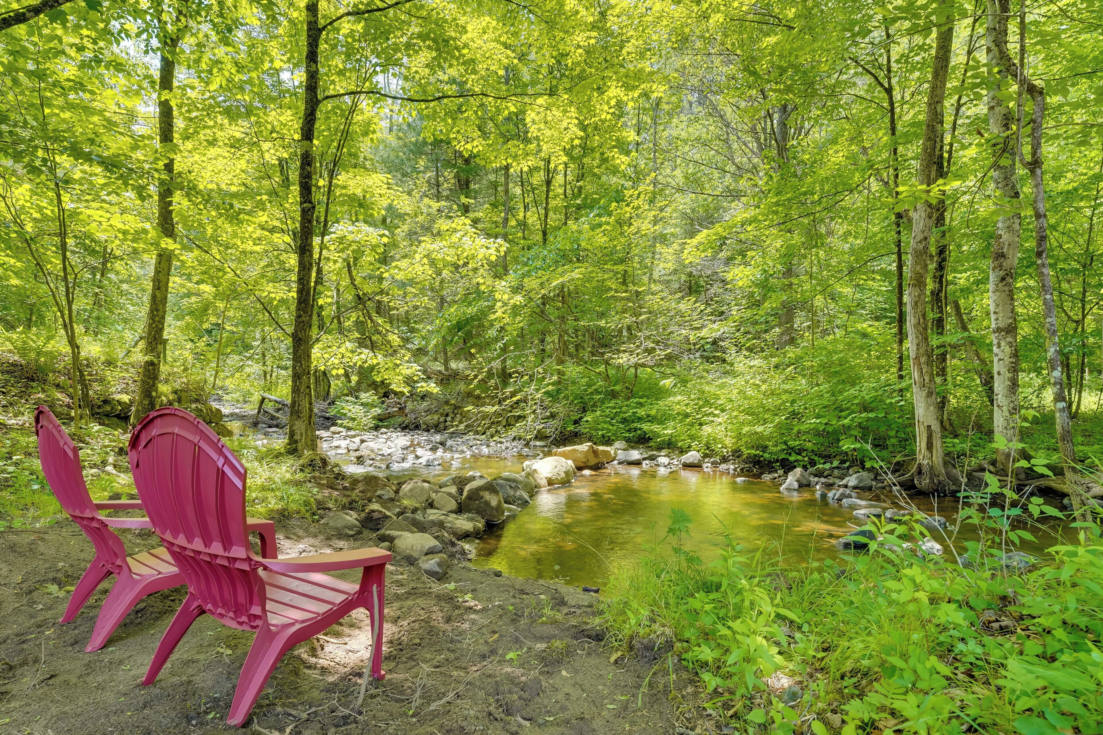 A forest scene with a red chair near a stream.