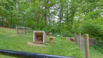 Cottage (2 Bedrooms) | Interior