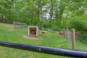 Cottage (2 Bedrooms) | Interior