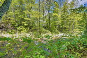 Nhà (4 Bedrooms) | Nội thất