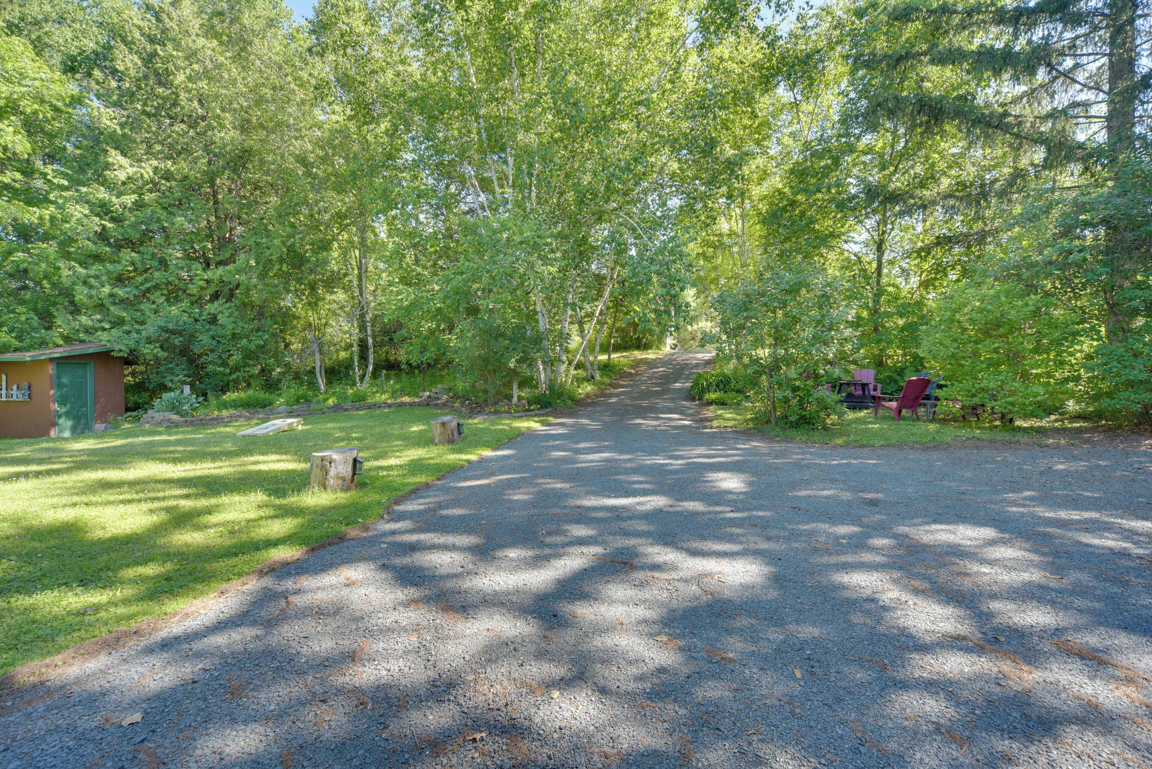 A gravel path leading to a cabin surrounded by dense trees.