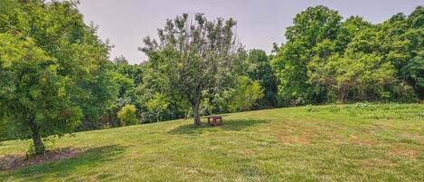 Nhà (2 Bedrooms) | Nội thất