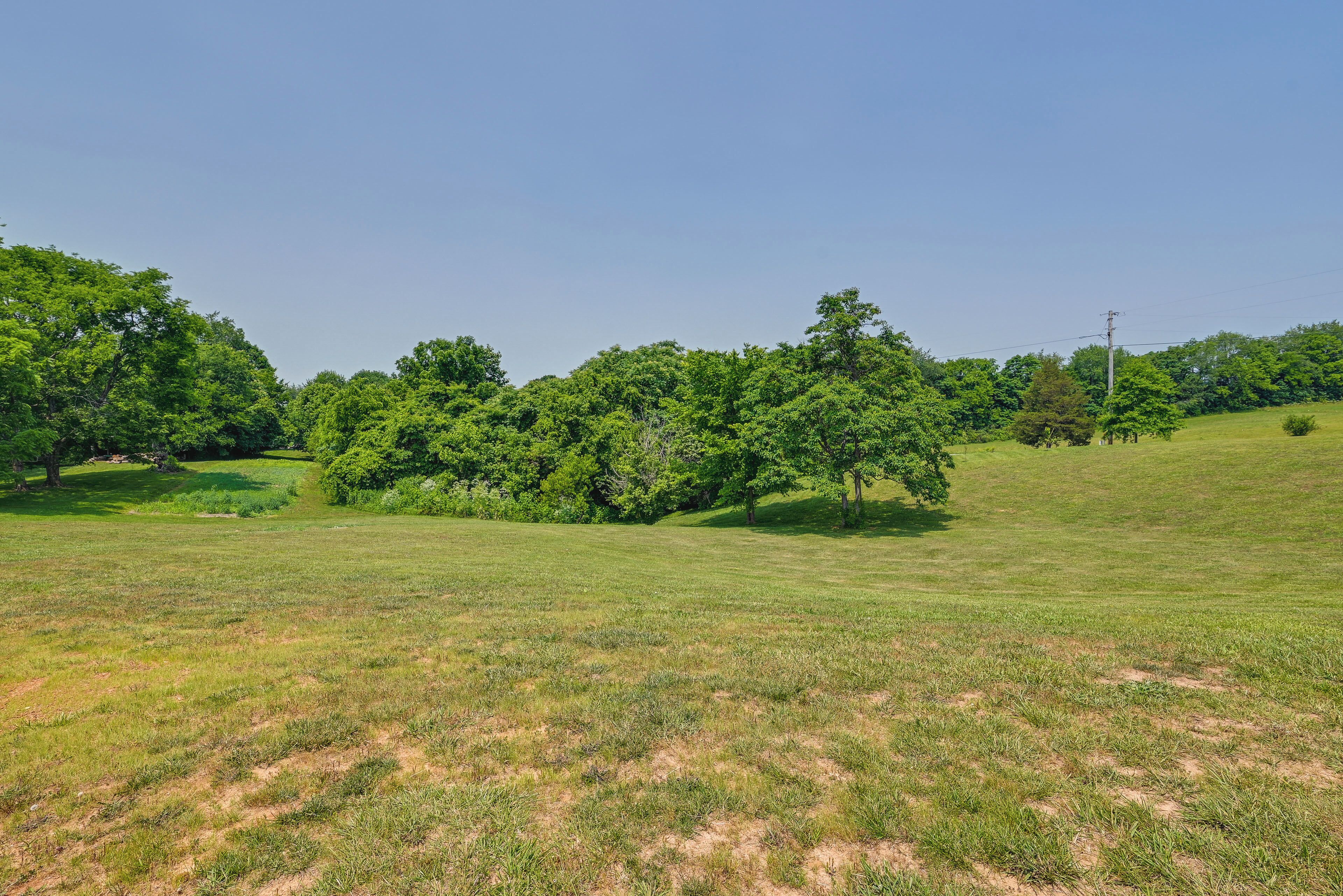A grassy field with trees and a power line.