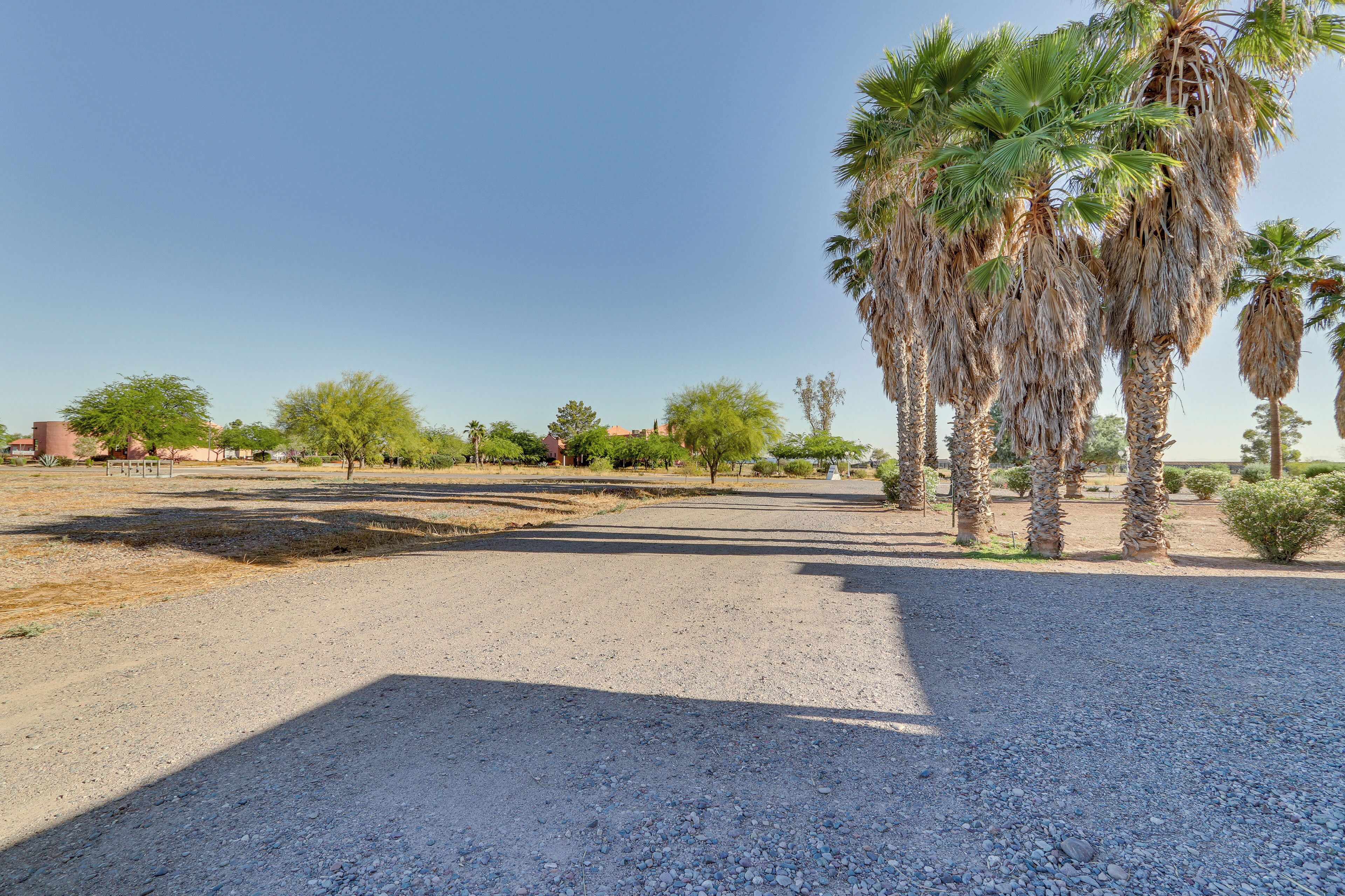 A gravel parking area with palm trees and sparse vegetation.